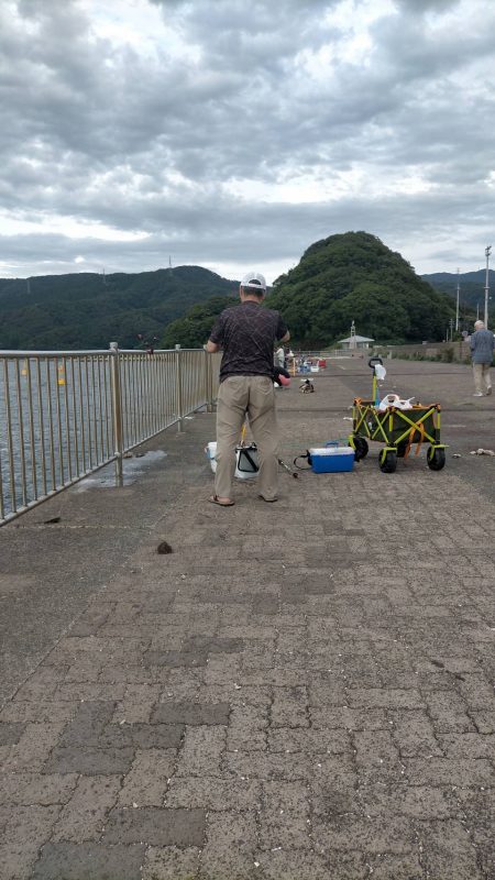 サンバカーニバル