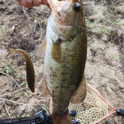 連休最終日も好調！！