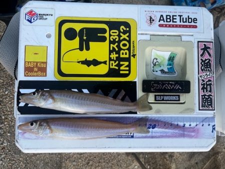 久しぶりの地元サーフ釣行でした