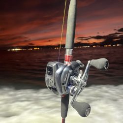 博多湾で初めてのタチウオ釣りしてきました