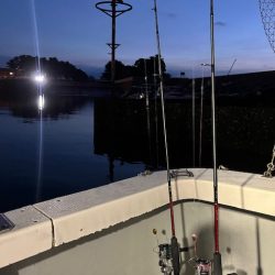 鹿児島錦江湾で1つテンヤのタイ釣り、また行ってきました