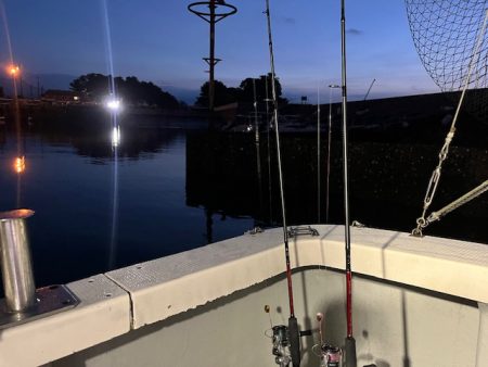 鹿児島錦江湾で1つテンヤのタイ釣り、また行ってきました