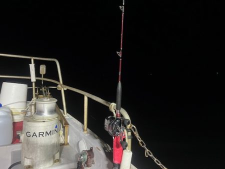 初めてのライトテンヤタチウオでした