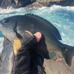 大荒れの中良型オナガグレ捕獲！