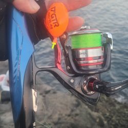 和歌山大引の磯でフカセ釣り