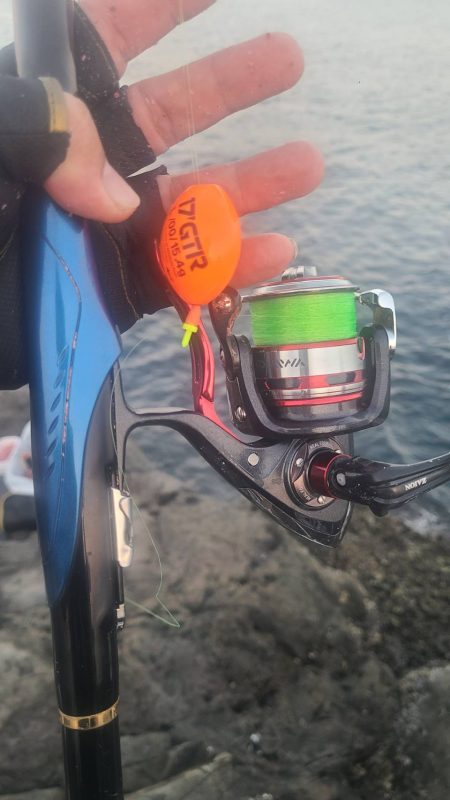 和歌山大引の磯でフカセ釣り