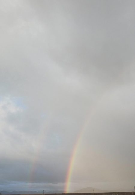 とりあえずアオリ4回目