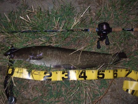 真夏のパターン