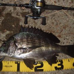 新規ポイントを開拓に