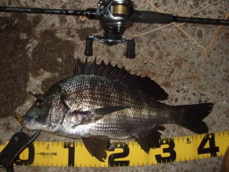 新規ポイントを開拓に