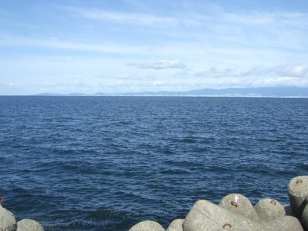 青物不発もなんとか