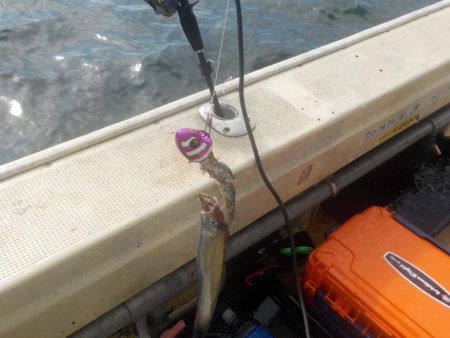 タチウオ第1戦〜盛和丸〜