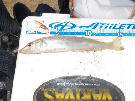 キス第2戦〜take sea〜