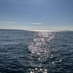 伊根の磯釣り🎣