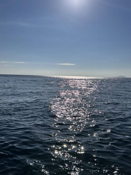 伊根の磯釣り🎣