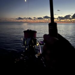 エギング　佐渡遠征③その3