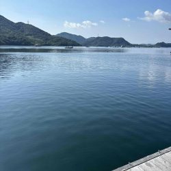 たかたか釣り日記