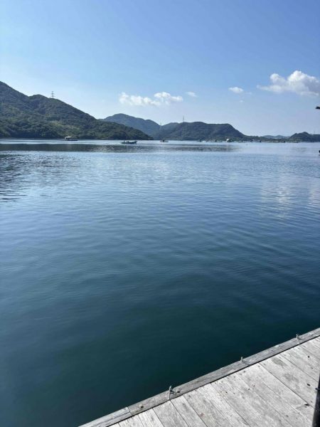 たかたか釣り日記