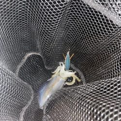 予報?予想以上に爆風!!!