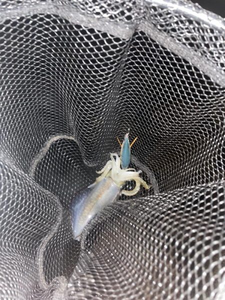 予報?予想以上に爆風!!!