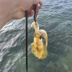 何とかツ抜け！