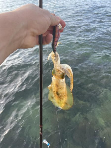 何とかツ抜け！