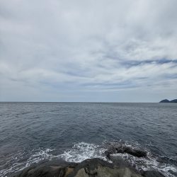 味をしめた磯にて、、ツヌケました〜