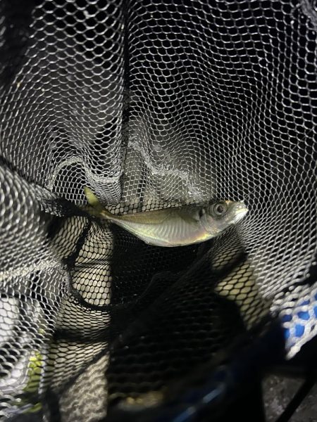 フロートアジング