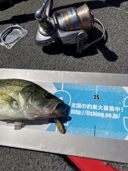 北山田小バスは管釣り状態です。