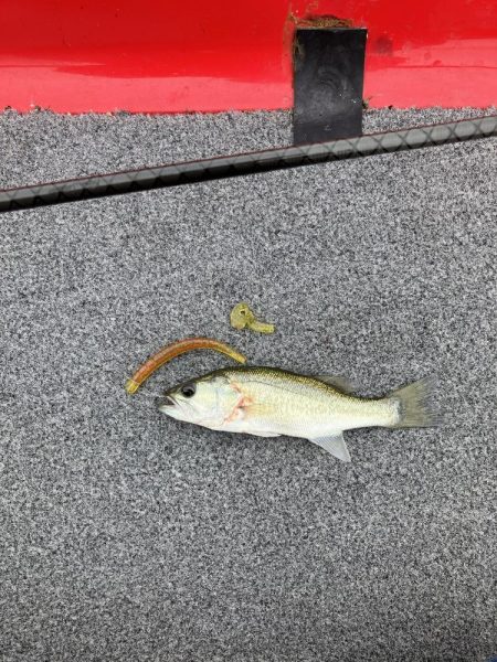 秋バスまだ早いようでした。