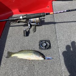 矢橋沖ディープホール