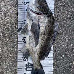 イチノ兄弟、釣果！