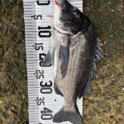 イチノ兄弟、釣果！