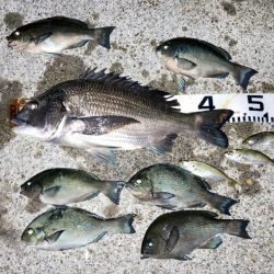 久しぶりの大蔵海岸