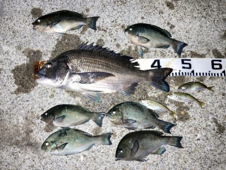 久しぶりの大蔵海岸