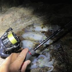 2025 佐渡ヶ島エギング Vol.15【9月22日】