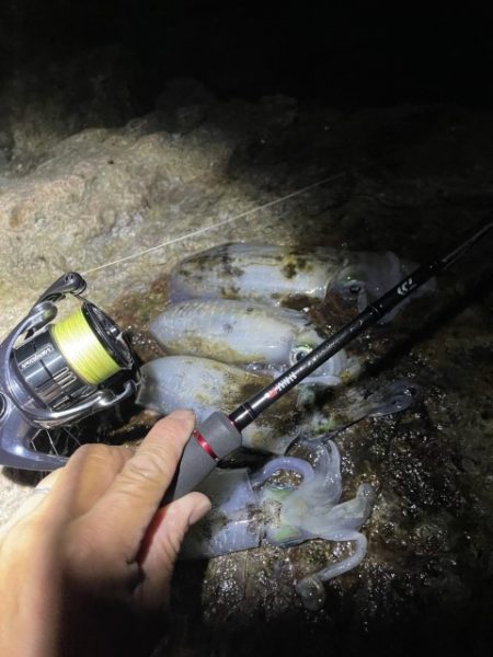 2025 佐渡ヶ島エギング Vol.15【9月22日】