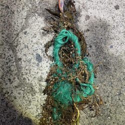 2025 佐渡ヶ島エギング Vol.18【9月26日】