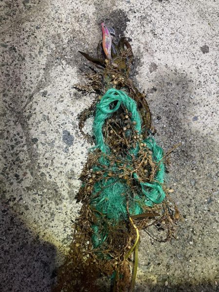 2025 佐渡ヶ島エギング Vol.18【9月26日】