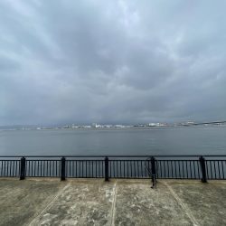 釣れるまで投げれば坊主はない