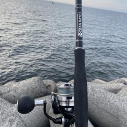 太刀魚・サゴシ調査