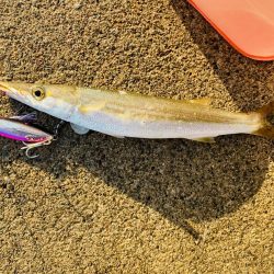 アオハタ自己新