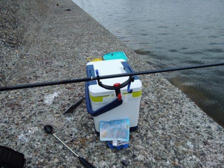 アジを狙ったがサバばかり