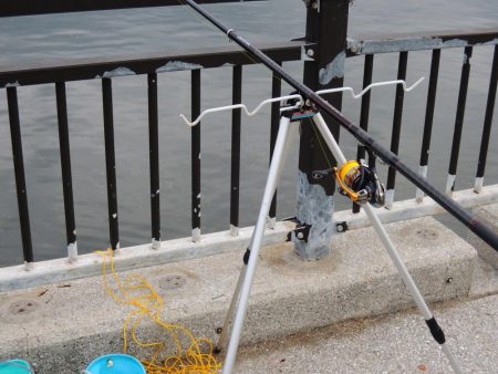 小アジ　夕暮れに入れ食い