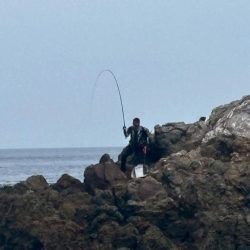 和歌山大引の磯でフカセ釣り