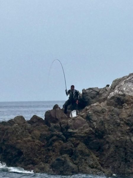 和歌山大引の磯でフカセ釣り