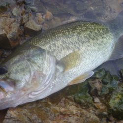 9月24日　一庫ダム釣行