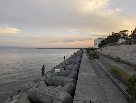祭りが終わって平和な貝塚人工島でした。