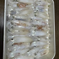 例年になく育ちの良いヒイカ!!