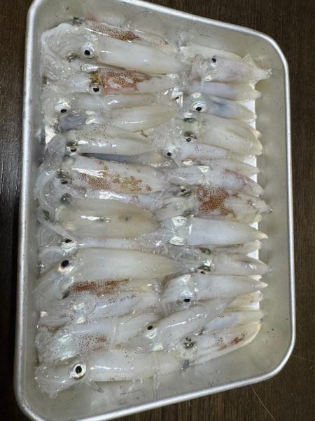 例年になく育ちの良いヒイカ！！